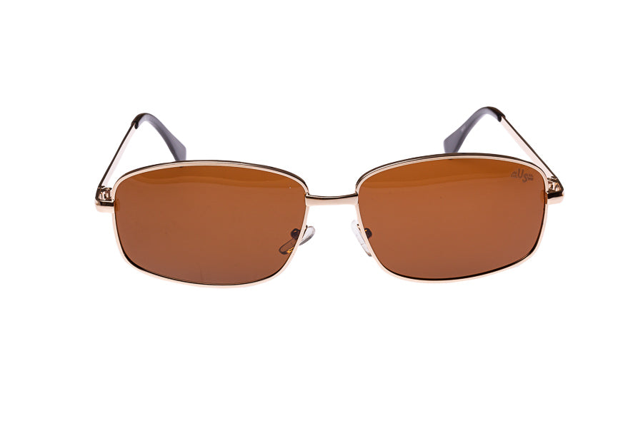 Tazz Tea Lens and Gold Frame sunglasses