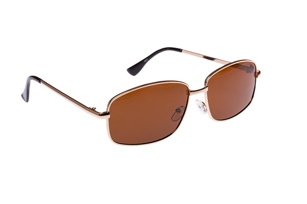 Tazz Tea Lens and Gold Frame sunglasses