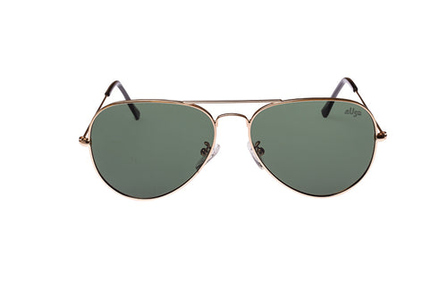 Donovan Green Lens and Gold Frame sunglasses