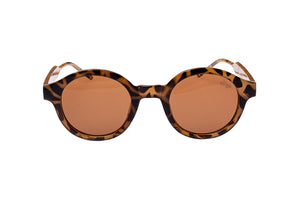 Johnny Tortoise Frame and Tea Lens sunglasses