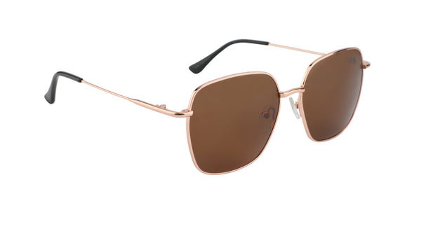 Thomas Rose Gold Frame Brown Lens